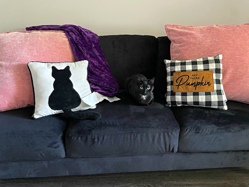 Black seater contemporary - black,